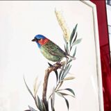 Bird lithograph