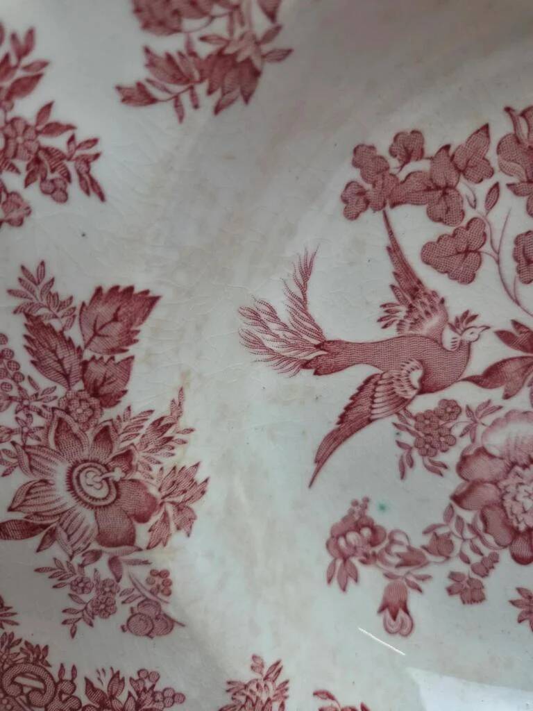 Set of 4 Enoch Wedgwood deep plates – Asiatic Pheasants – Vintage English earthenware