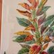 Tableau Aquarelle Iconographie Fleurs Naturalisme Amarante Tricolore Natura