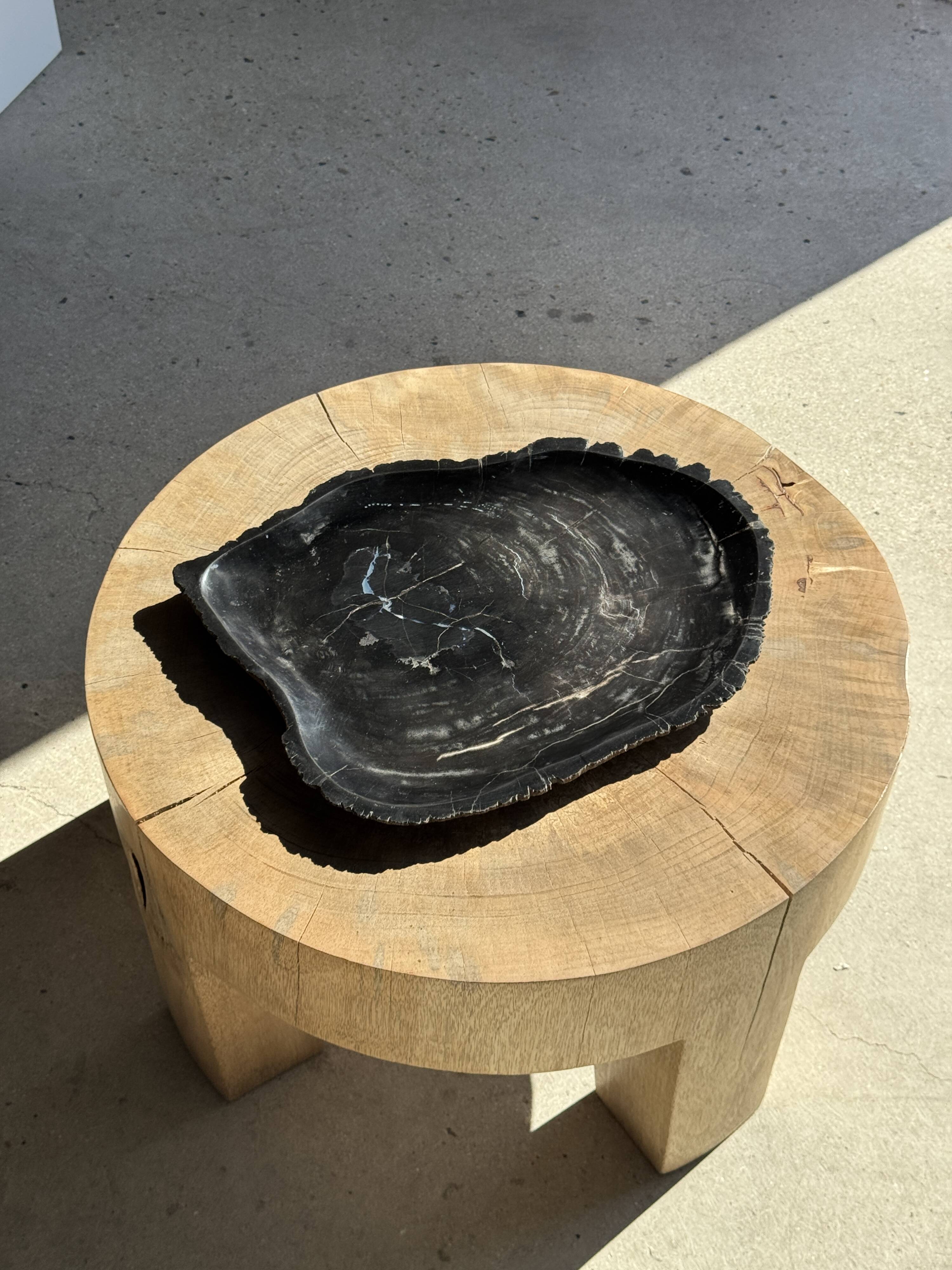 Very large black petrified wood tray or bowl D35