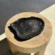 Very large black petrified wood tray or bowl D35