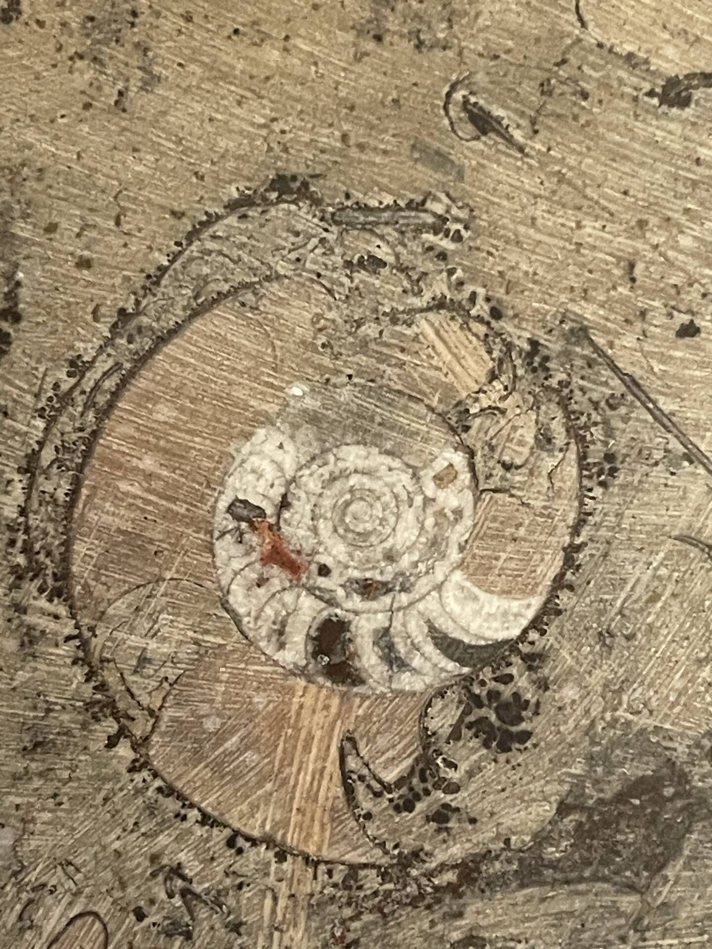 Round plate, fossil marble catch-all 35cm