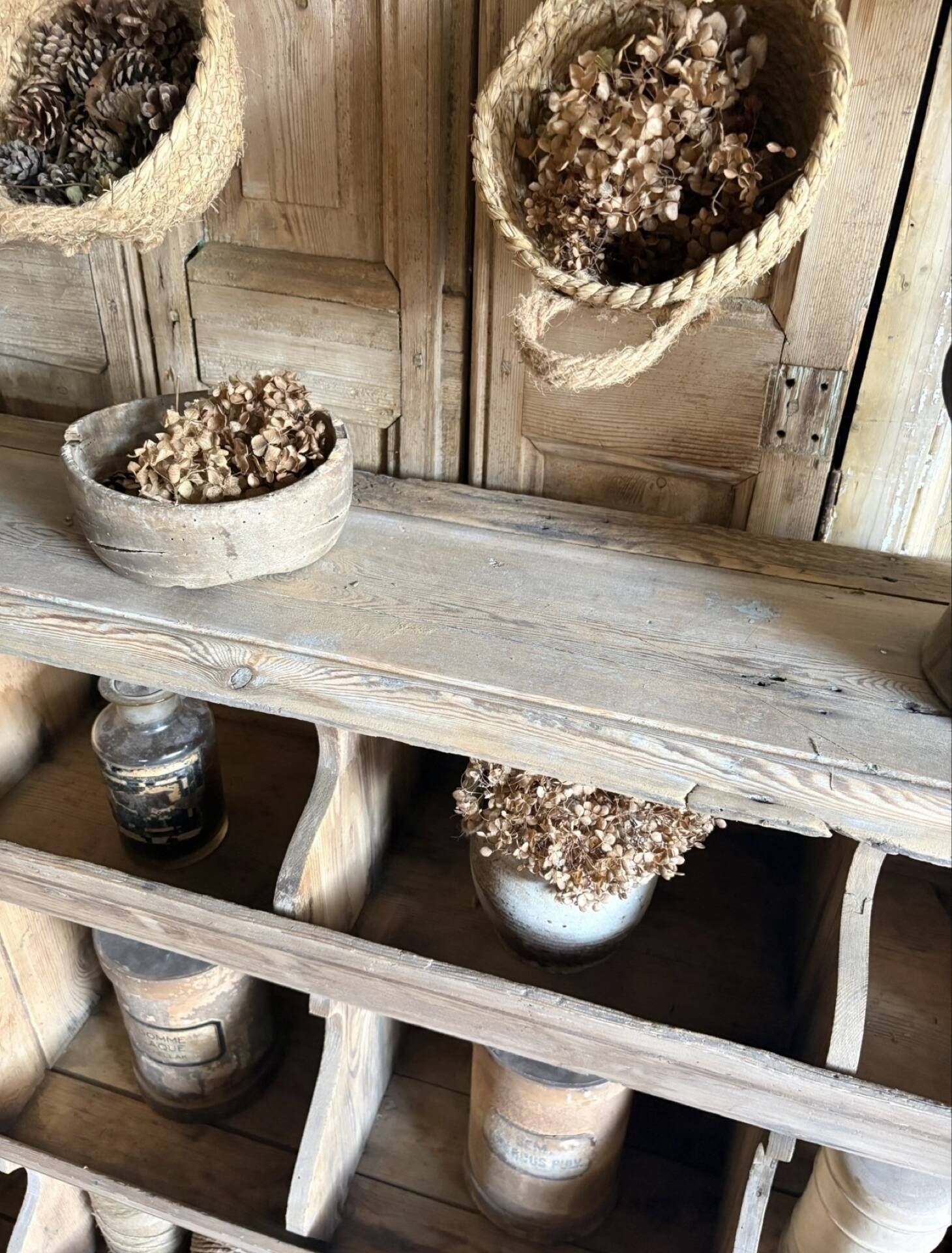 Ancien grainetier , meublé casiers en bois