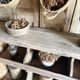 Ancien grainetier , meublé casiers en bois