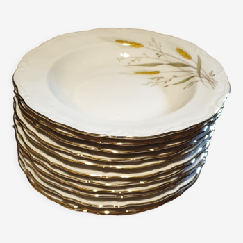 12 hollow plates glossy porcelain