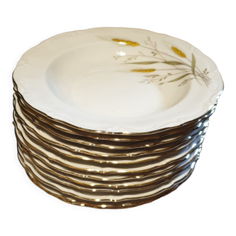 12 assiettes creuse porcelaine brillante