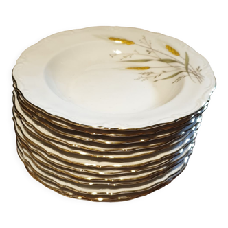 12 hollow plates glossy porcelain
