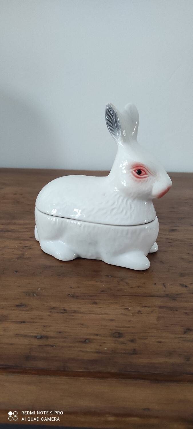 Caugant rabbit box