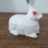 Caugant rabbit box