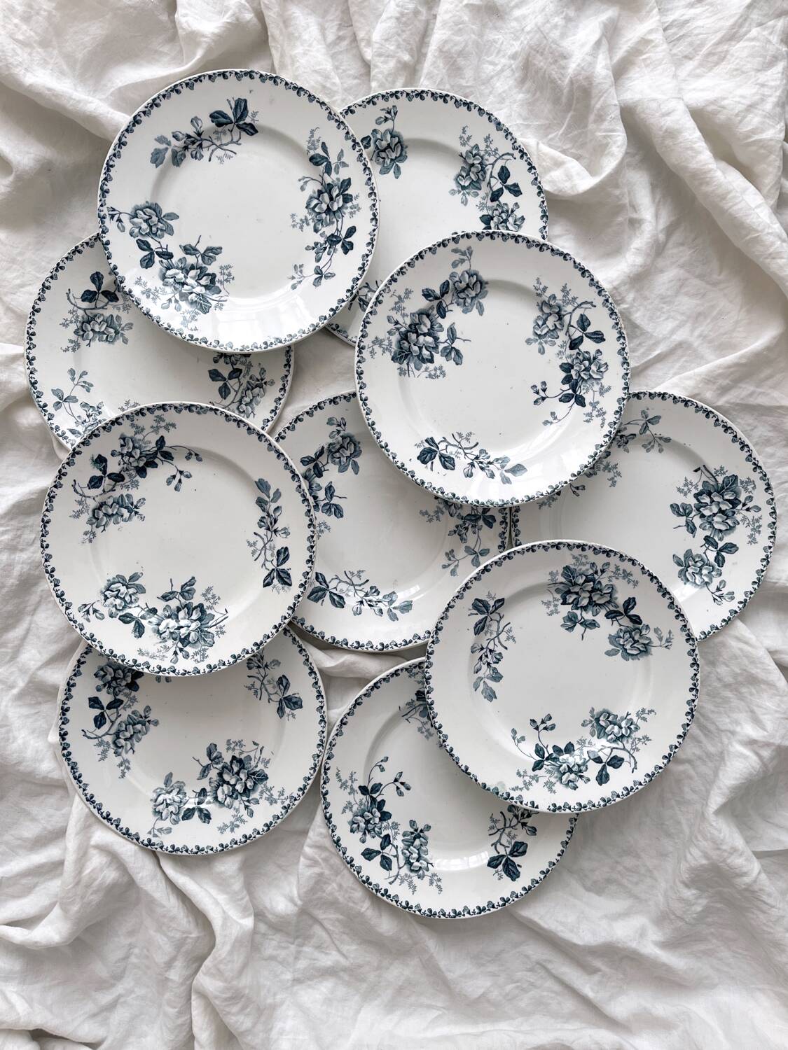 10 assiettes plates en terre de fer « Acacia » Moulin des Loups et Hamage