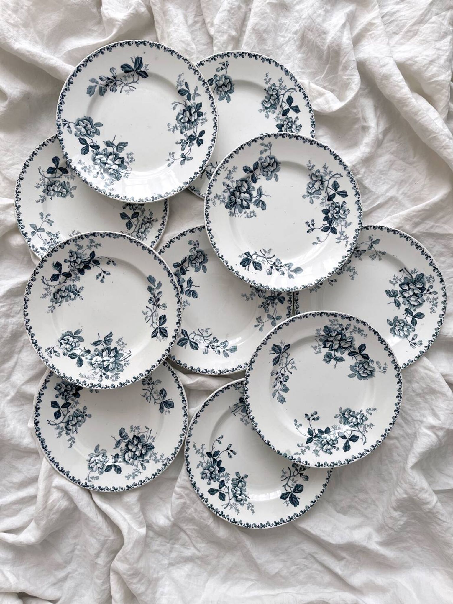 10 flat plates in iron earth “Acacia” Moulin des Loups and Hamage