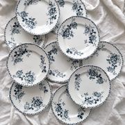 10 flat plates in iron earth “Acacia” Moulin des Loups and Hamage