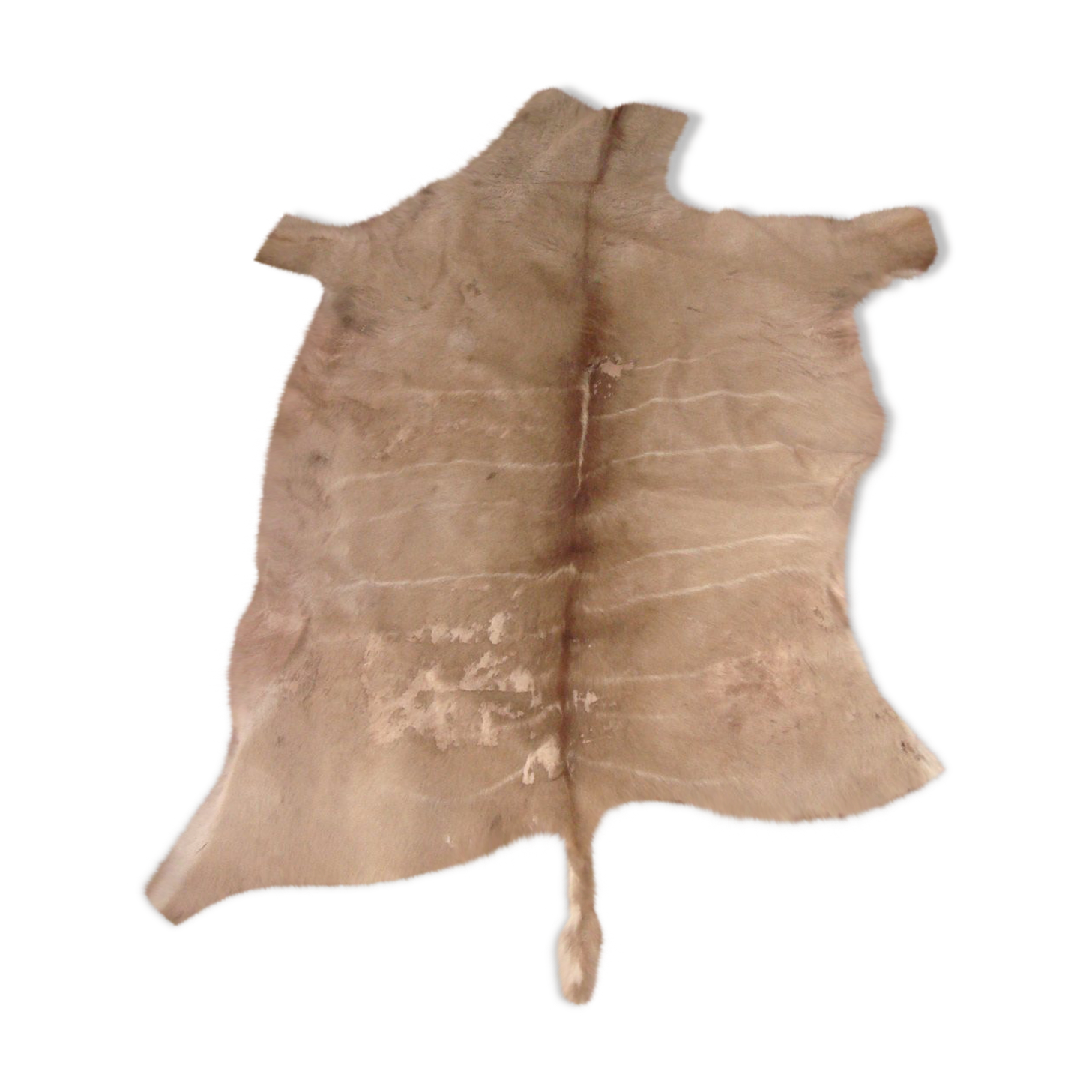 Gazelle skin great kudu 120x150cm