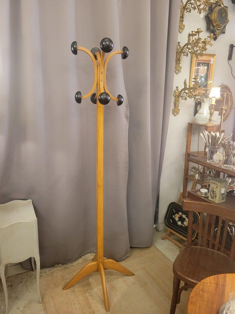 Porte-manteau perroquet Stella
