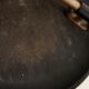 Very early edition Arne Jacobsen DOT stool model 3170 by Fritz Hansen