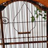 19th century bird cage in its original condition