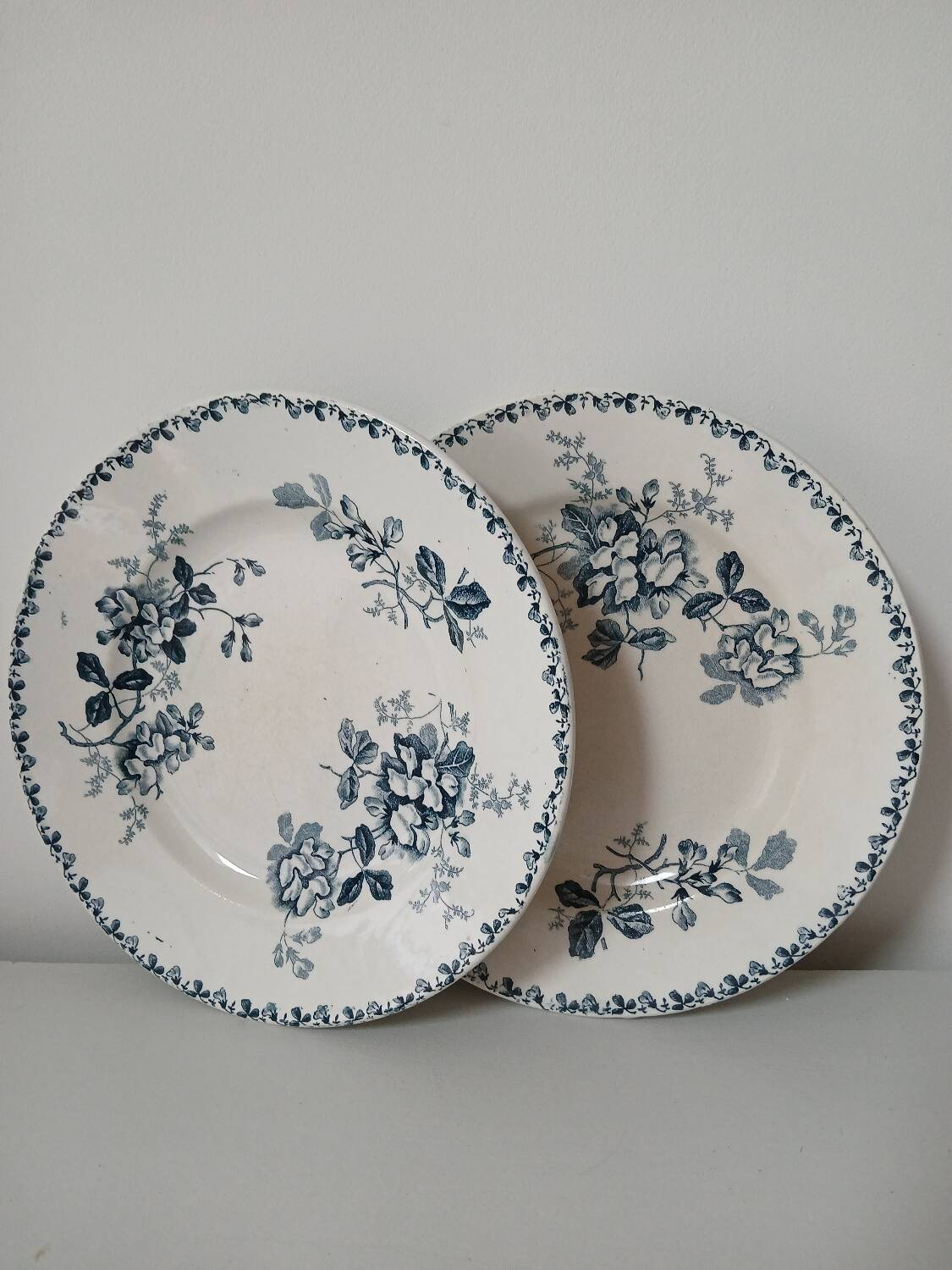 Set of 6 Terre de Fer plates, Acacia model