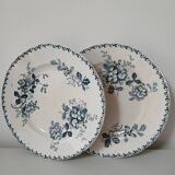 Set of 6 Terre de Fer plates, Acacia model
