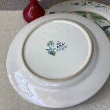 Ara Pier Import Japan Hibiscus and Parrot plates