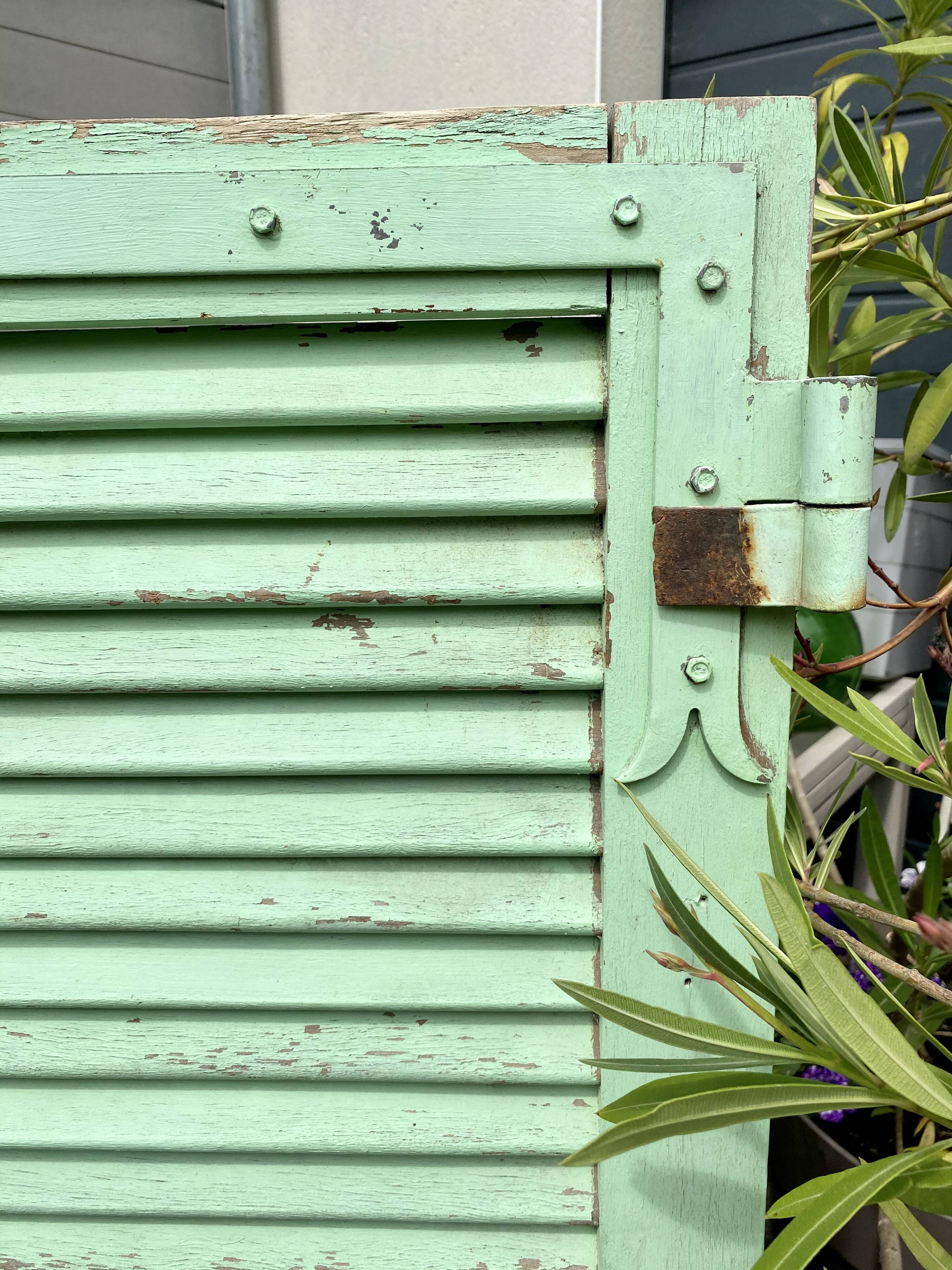 Ancient persian-coloured wood-wood mint