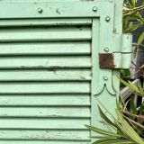 Ancient persian-coloured wood-wood mint