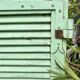 Ancienne persienne bois couleur vert mint