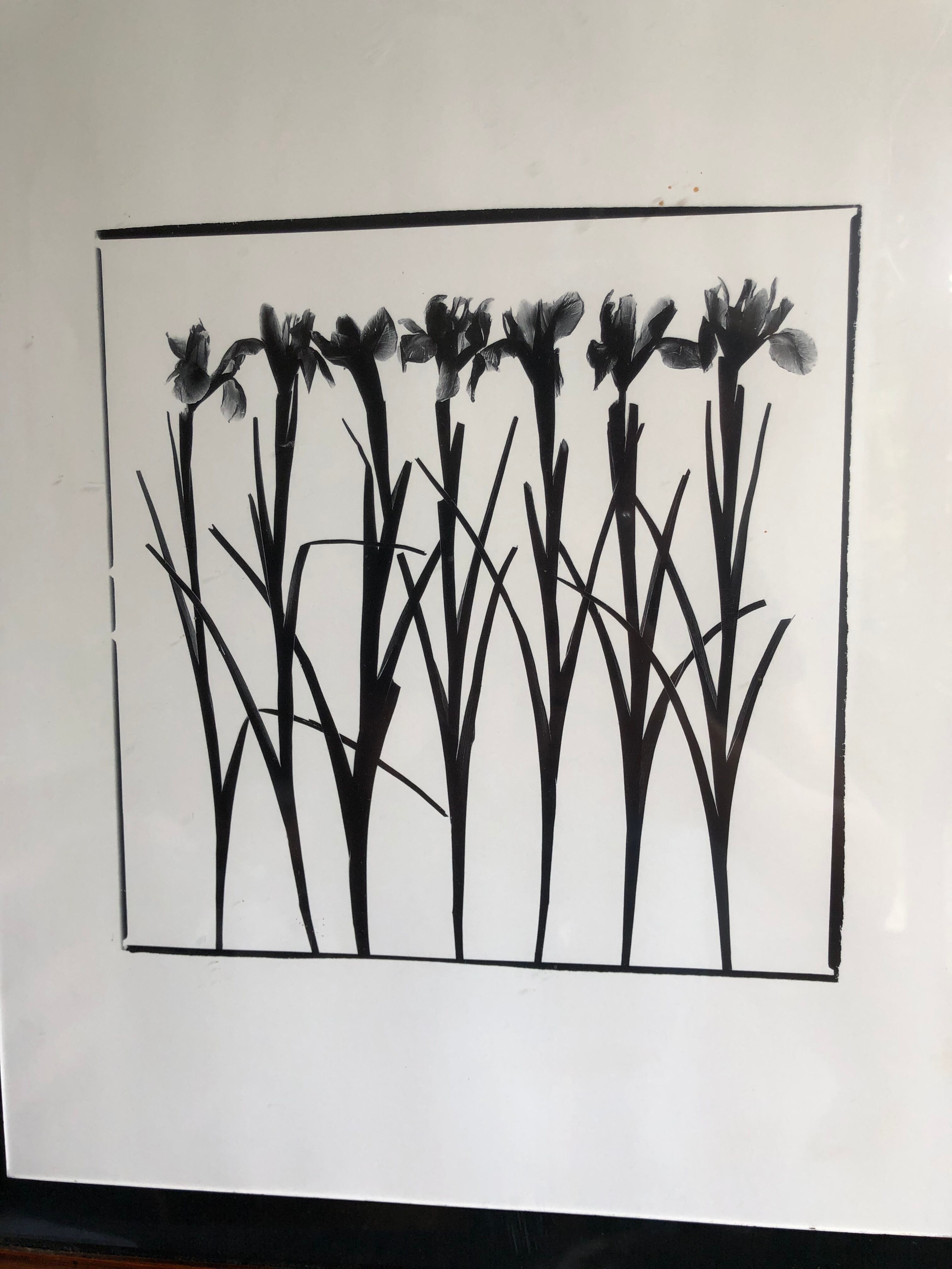 Flowers framed printing