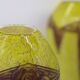 Set 2 Rare Vase Ovoïde signé F-T Legras Pare de verre Art deco 1930