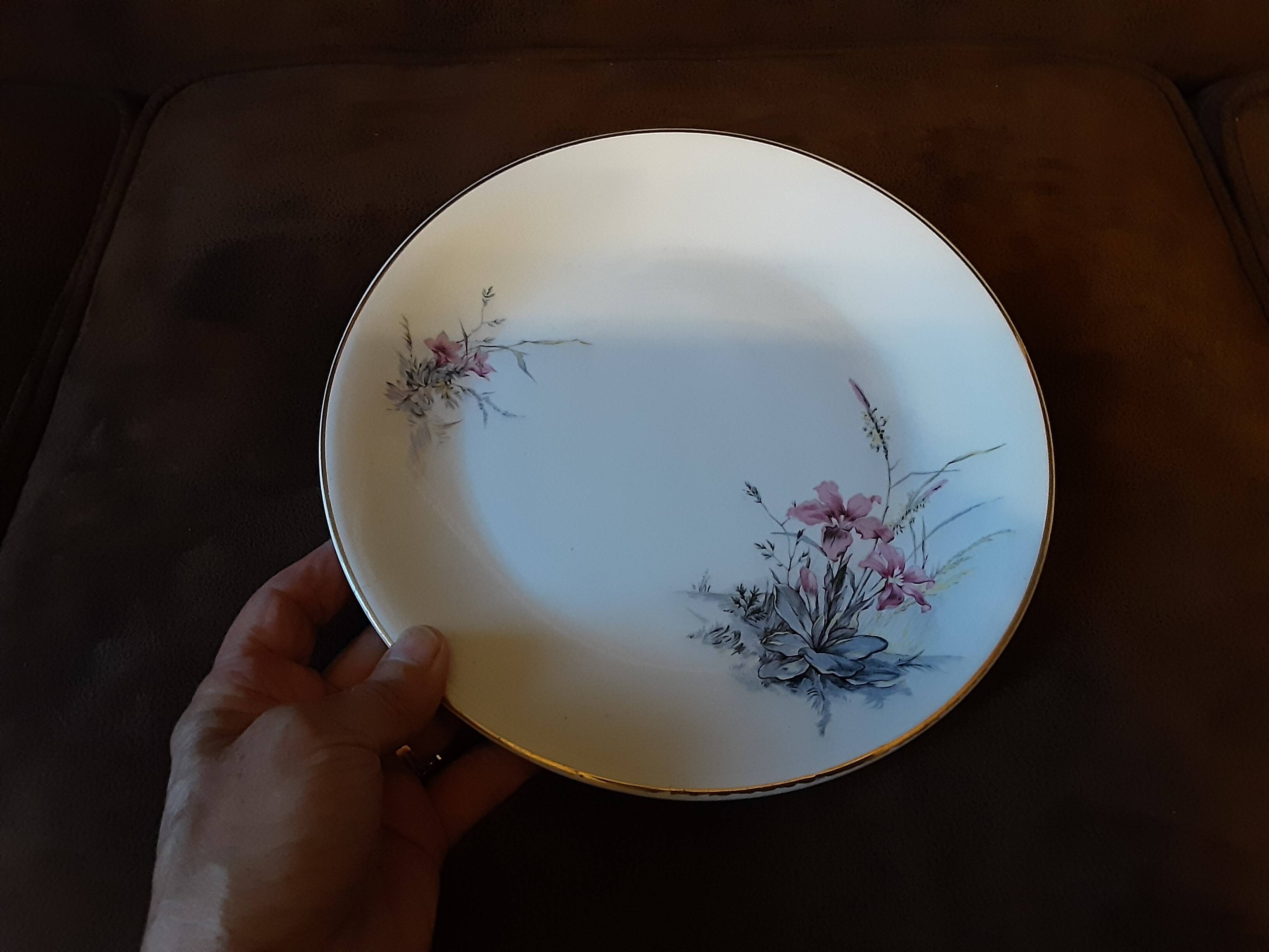 Set of 9 Digoin Sarreguemines dinner plates