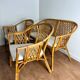 Salon de jardin en rotin