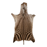Zebra skin