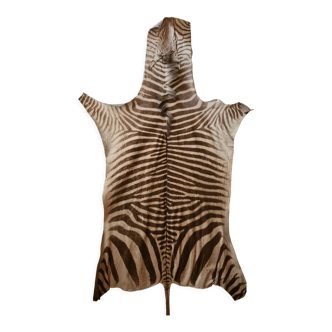 Zebra skin
