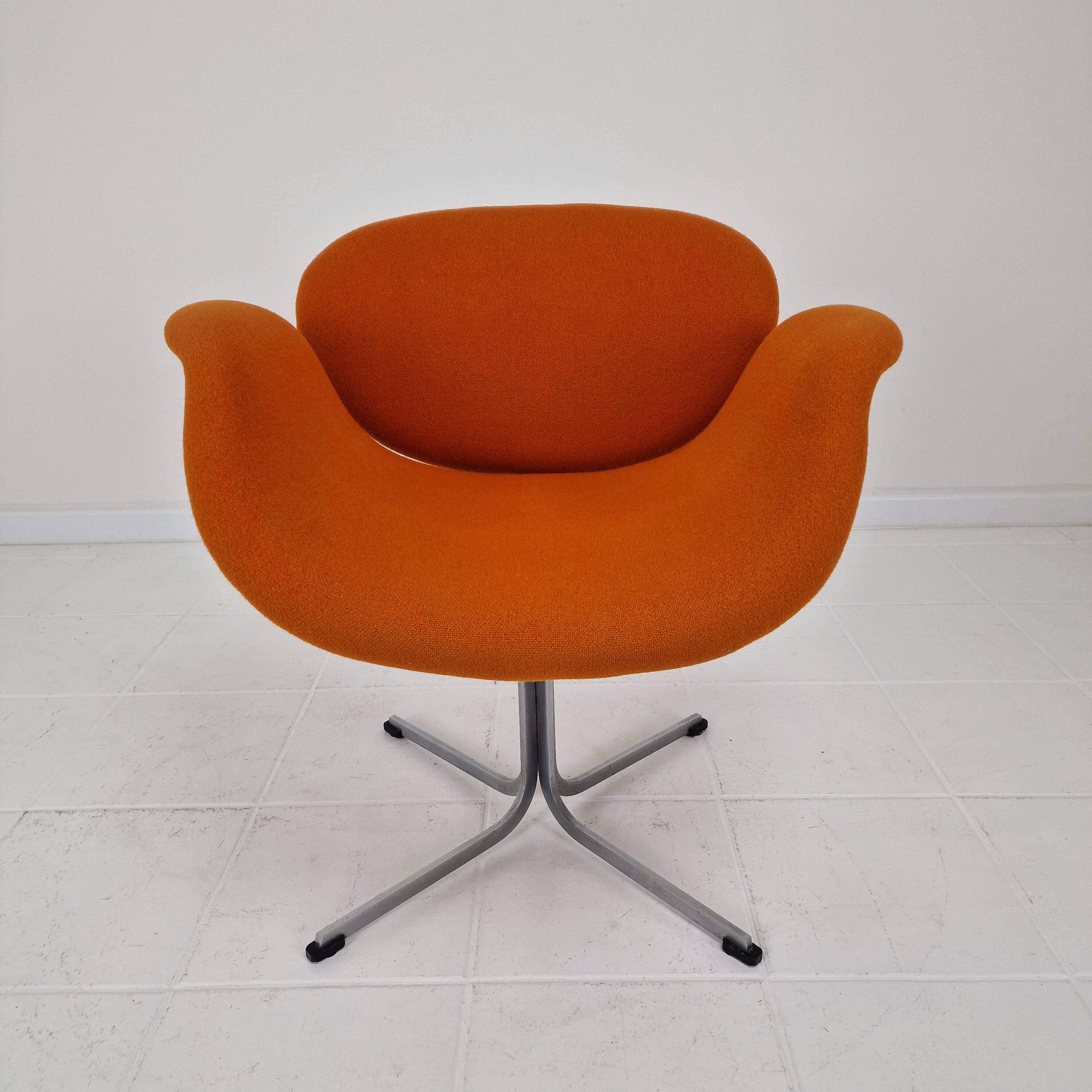 "Little Tulip" Armchair by Pierre Paulin for Artifort, 1970s