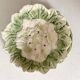 Drainer and sheet dish in cauliflower slip