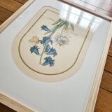 Trio of Frames, Botanical illustration, 30X40cm