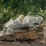 Watercolor Painting Jeep Nefkens (1926/1999) Watercolor "The Garden"