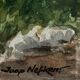 Watercolor Painting Jeep Nefkens (1926/1999) Watercolor "The Garden"