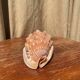 Great shell (Cypraecassis rufa)