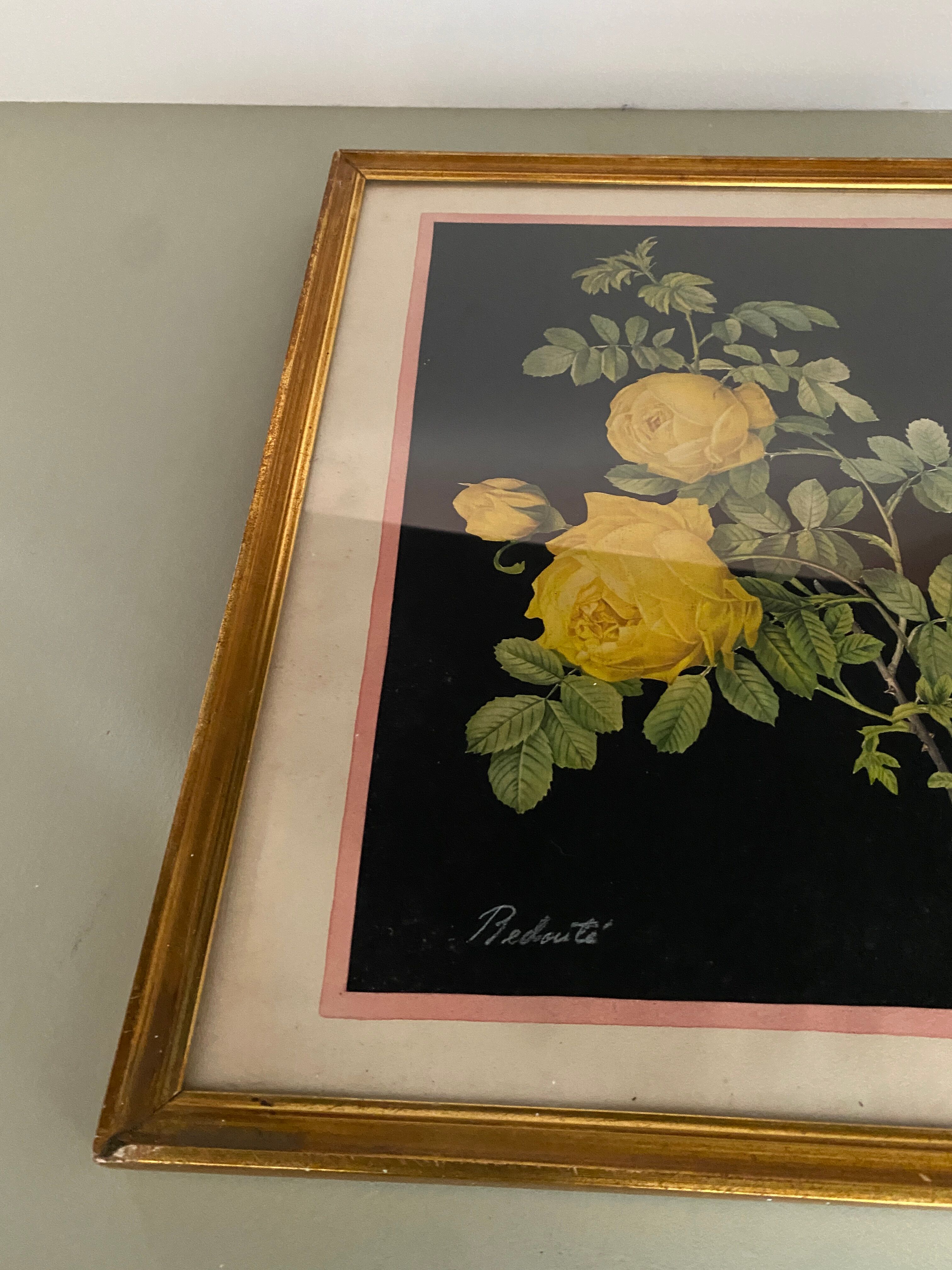 Framed poster vintage pinks yellow feared