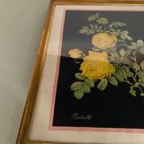 Framed poster vintage pinks yellow feared
