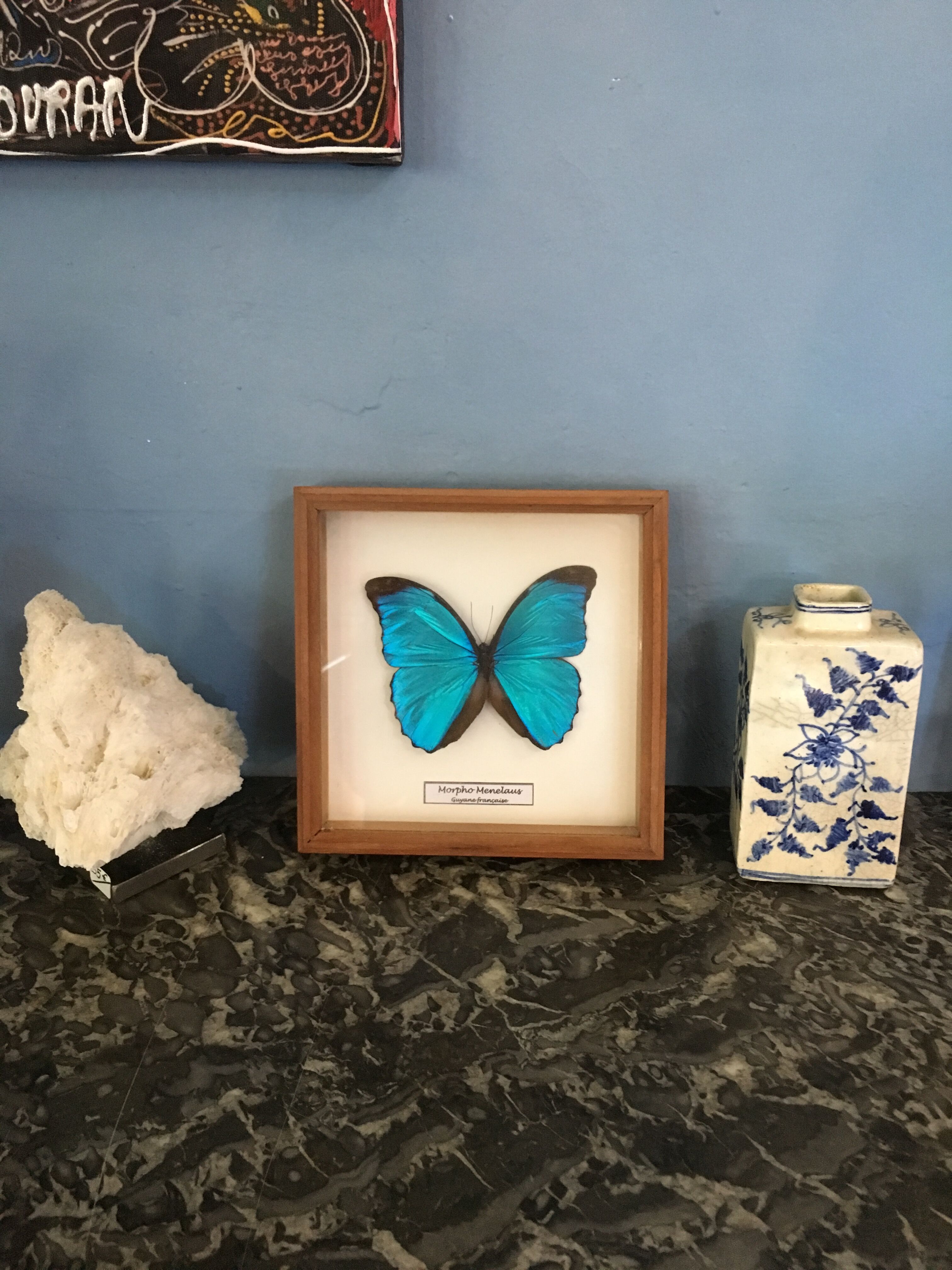 Butterfly frame