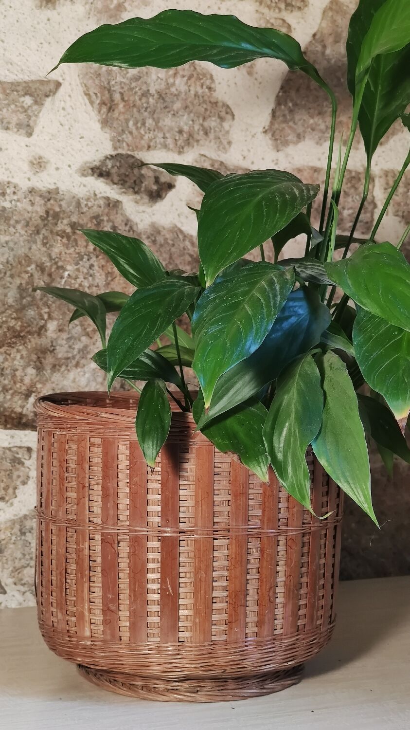 Rattan plant pot