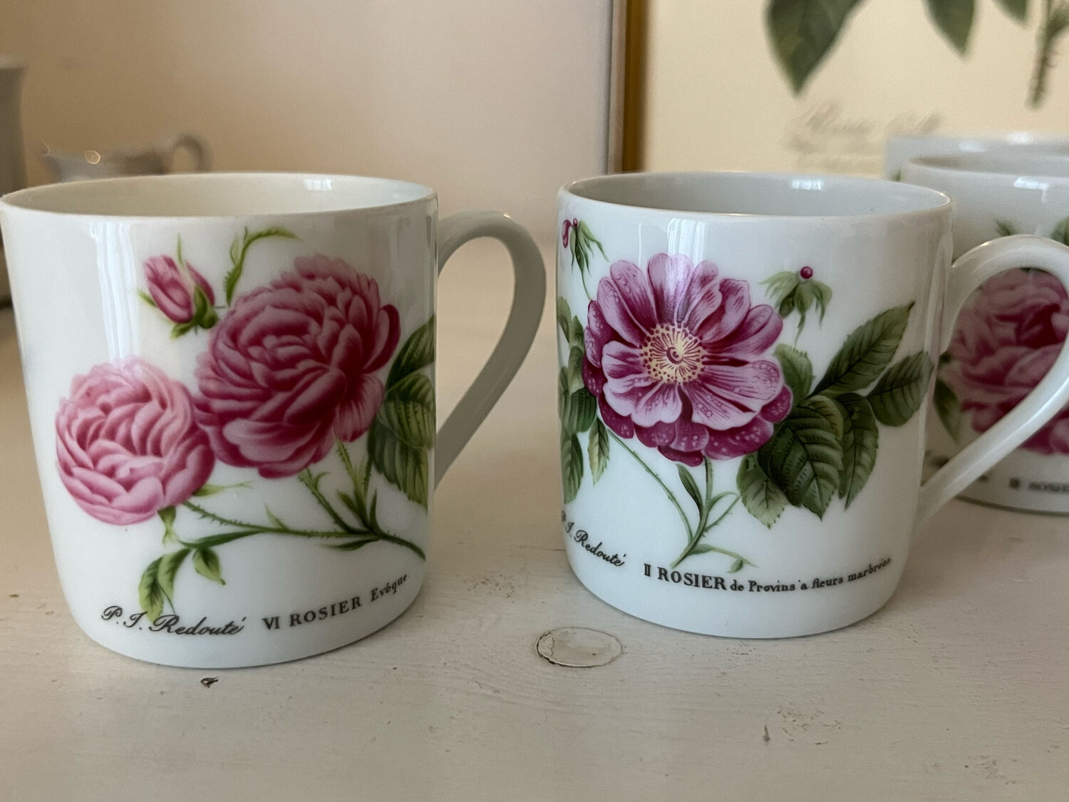 Porcelain cups rose pattern