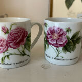 Porcelain cups rose pattern