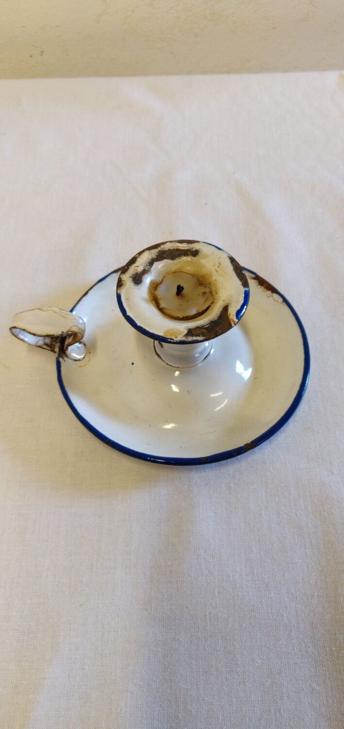 Cellar rat in old enamelled sheet metal