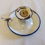 Cellar rat in old enamelled sheet metal