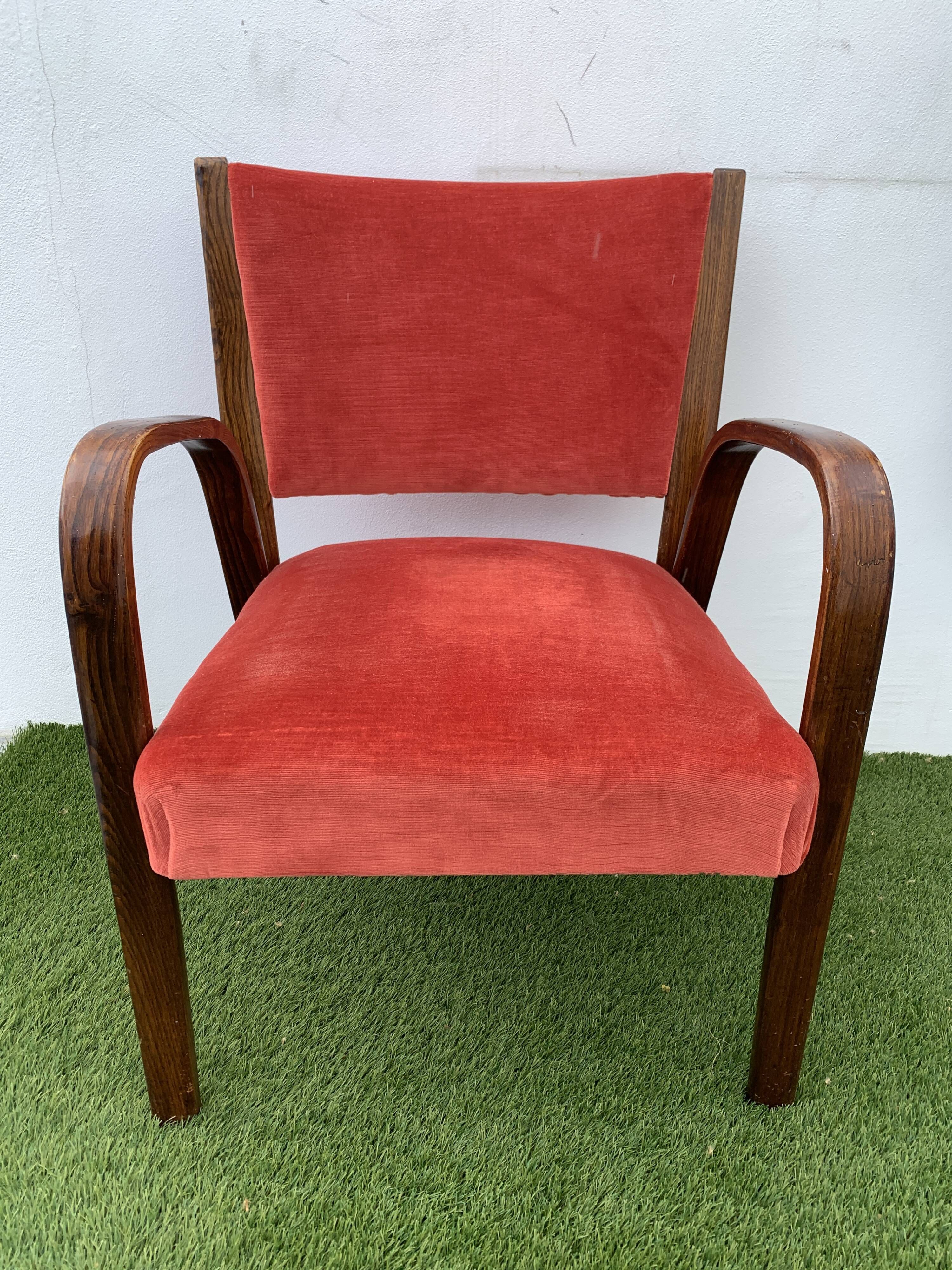 Hugues Steiner armchair, bow-wood model, curved wood and velvet, 1950