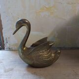 Swan