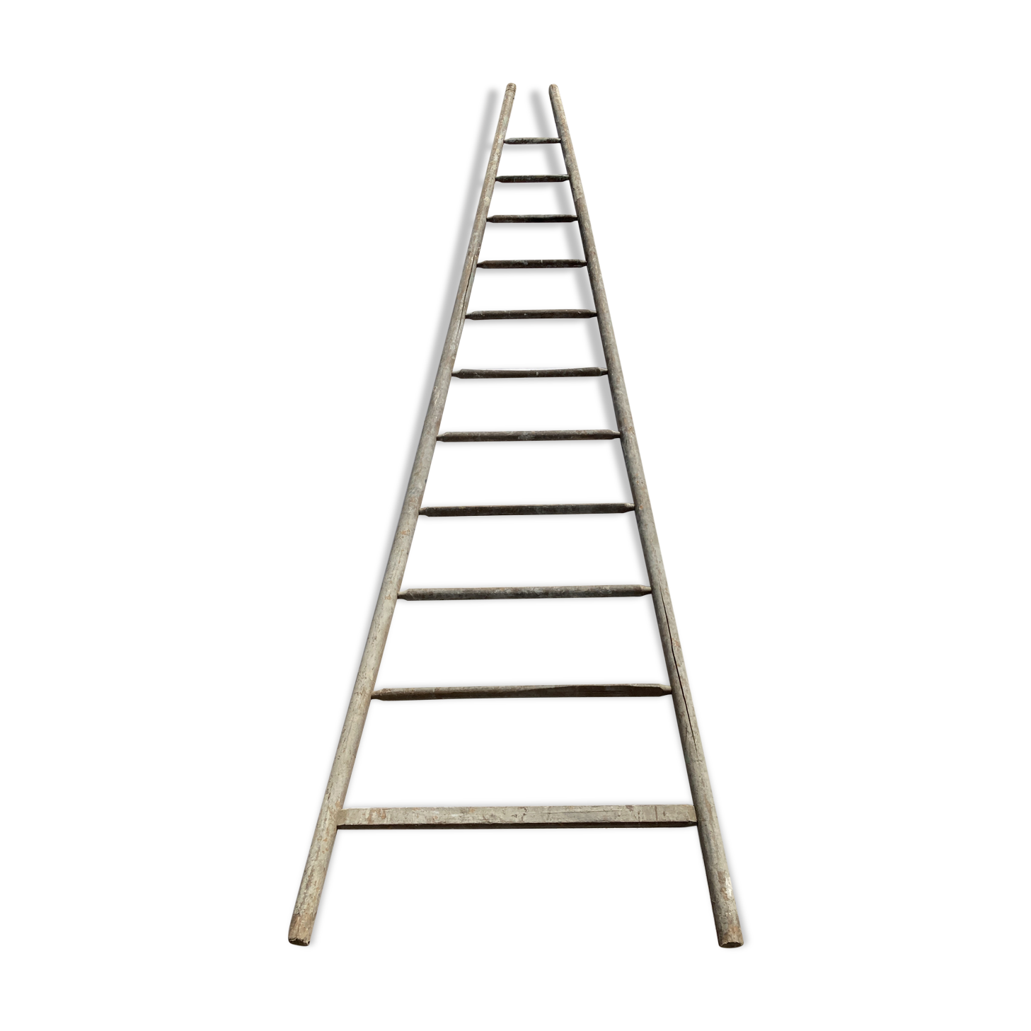 Former fruit ladder harvesting wood