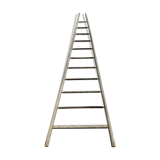 Former fruit ladder harvesting wood